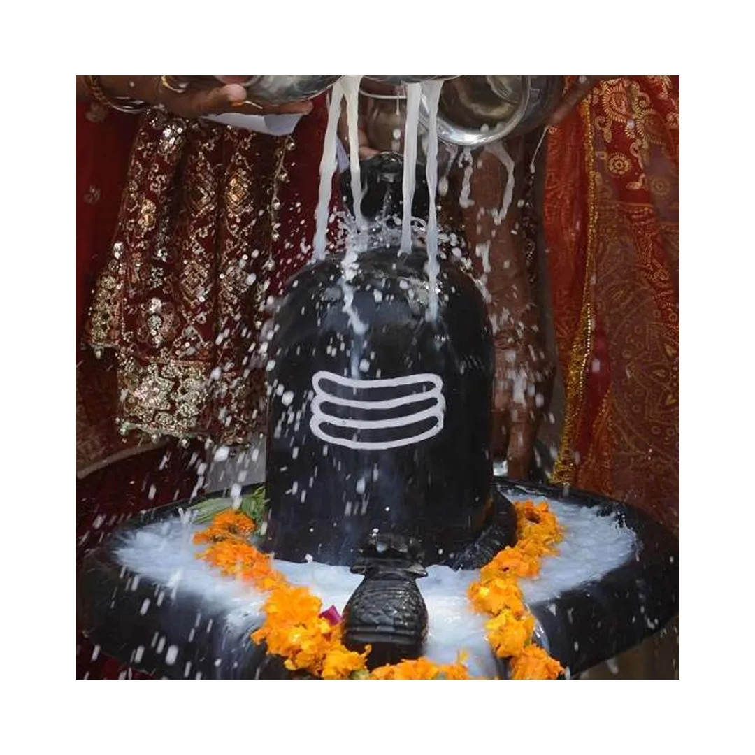Rudrabhishek Puja