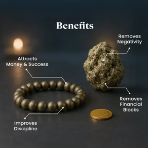 Money Magnet