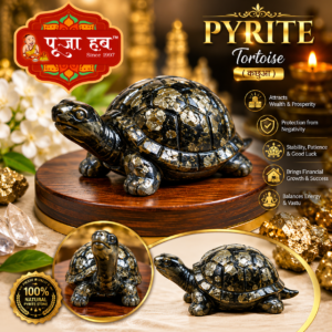 Pyrite Tortoise (कछुआ)