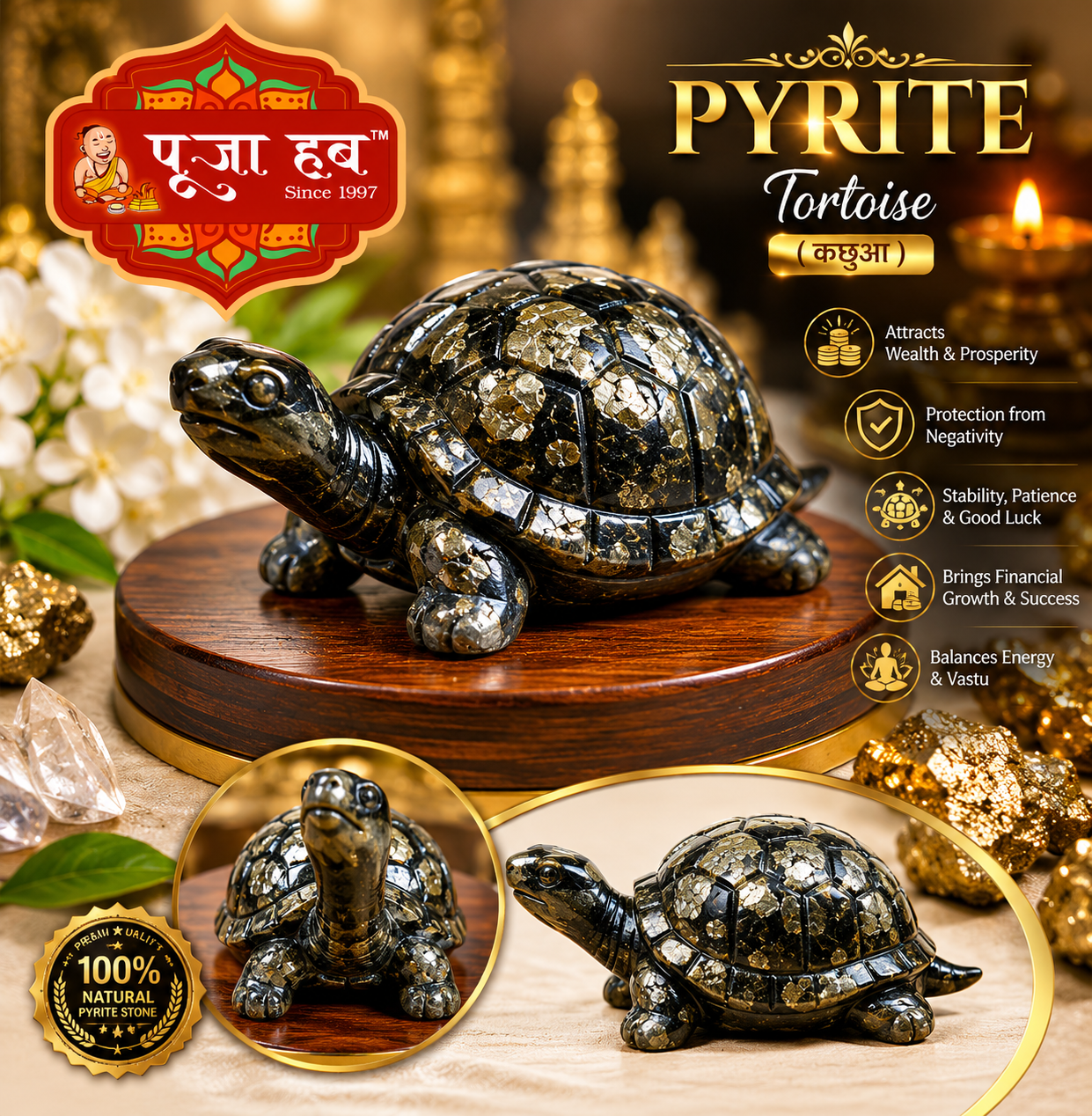 Pyrite Tortoise (कछुआ)